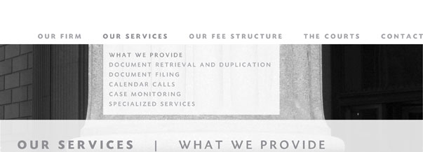 Our Services: What We Provide